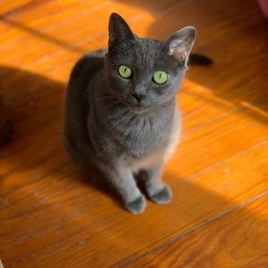 Meet your Posher, Katie